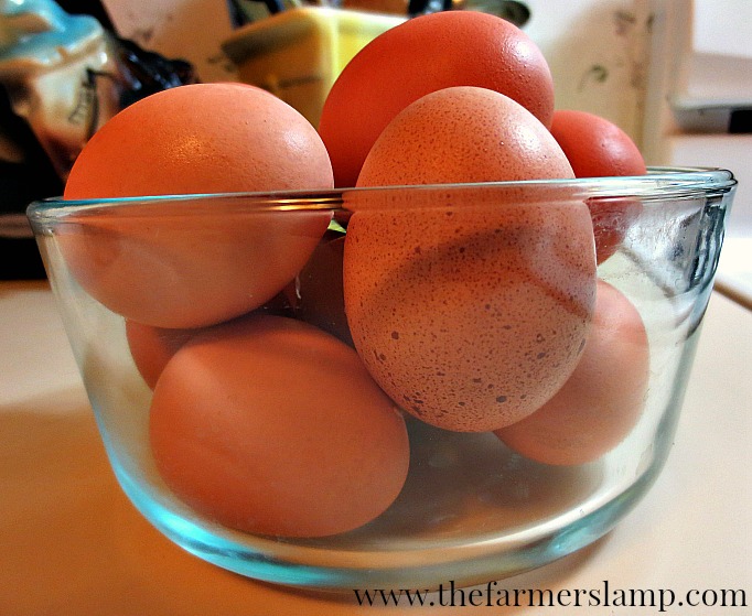 Do Eggs Need to Be Refrigerated and Washed? Backyard Poultry